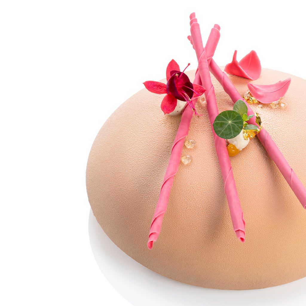 Cake pink harmony